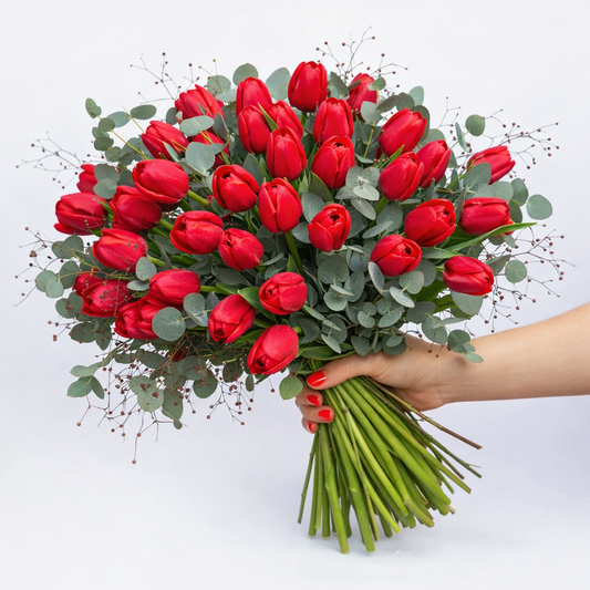 Tulip Bundle +