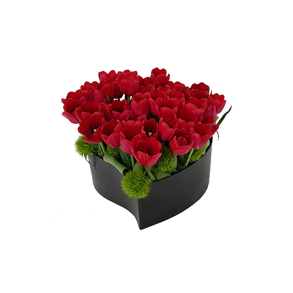 Warm Tulips