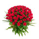 Raw Roses