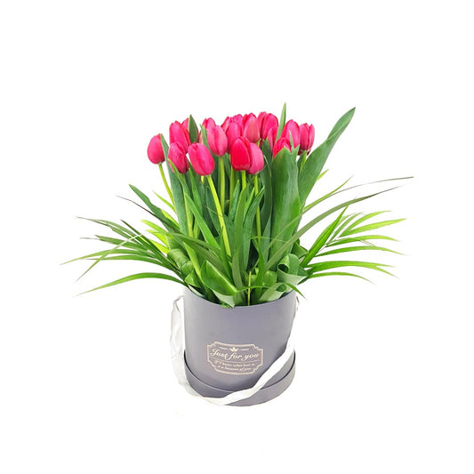Cylinder Tulips