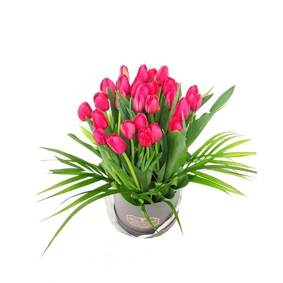 Cylinder Tulips
