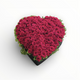 Mega Love
