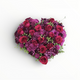 Heart season