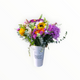 Spring Funnel