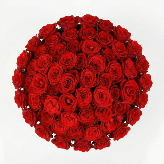 Cylinder Rose