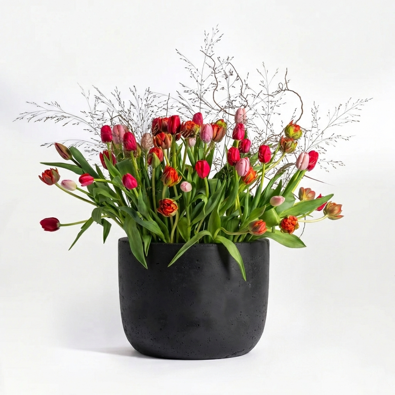 Tulip Box