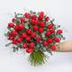 Tulip Bundle +