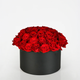 Cylinder Rose