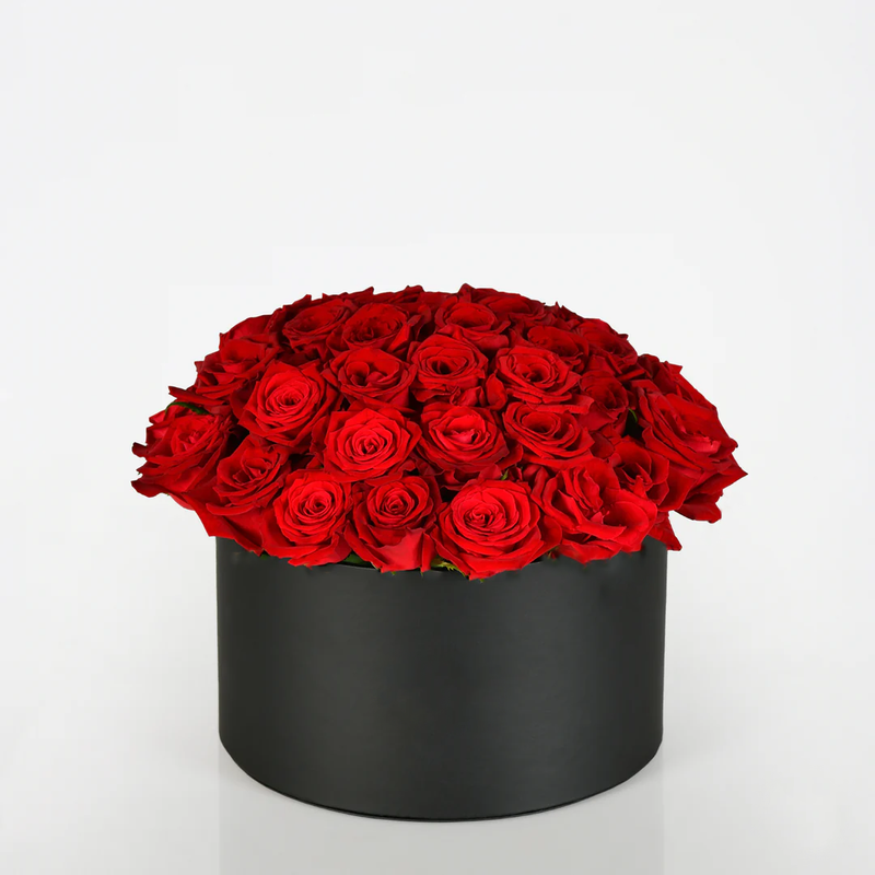Cylinder Rose