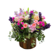 Elder Garden