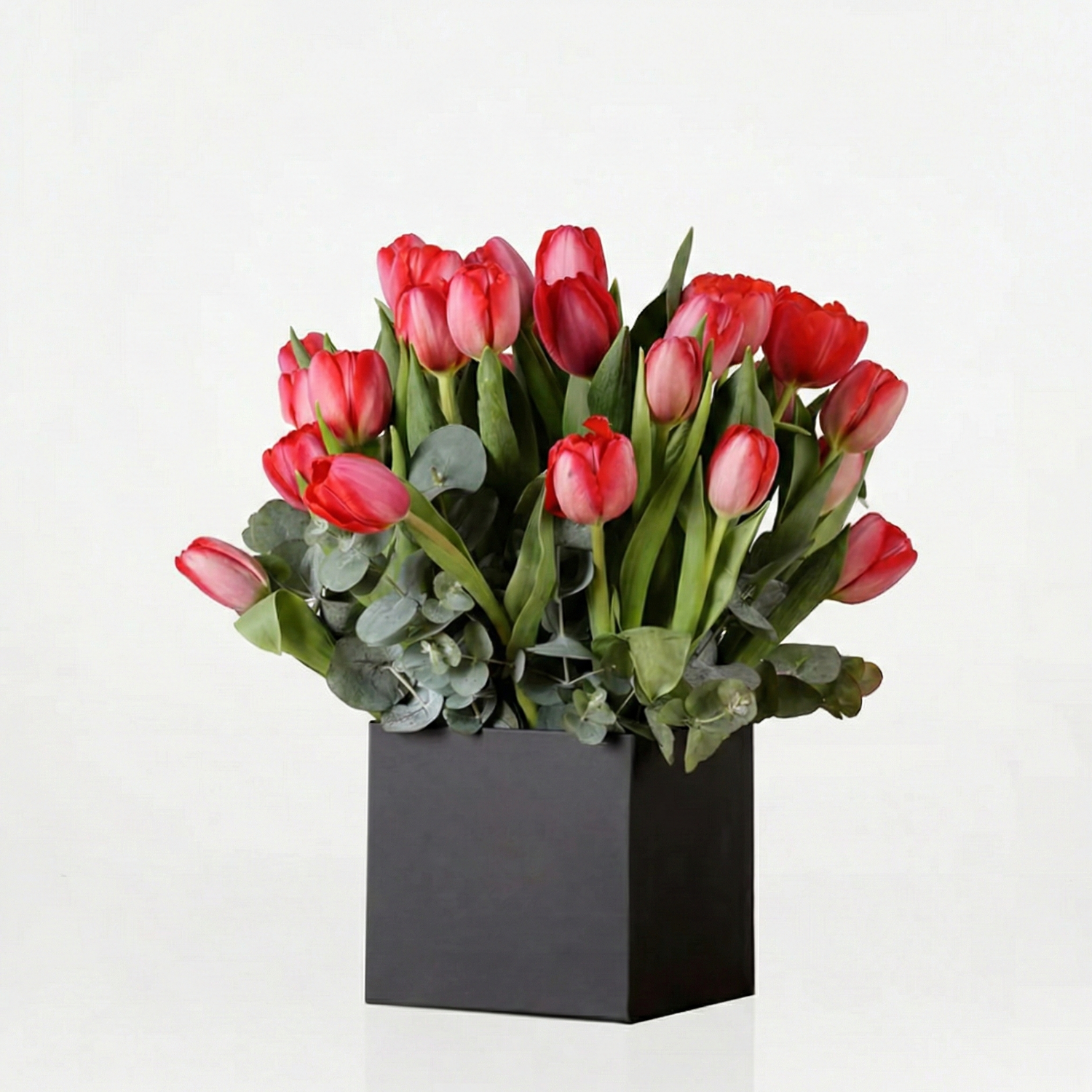 Tulip Box
