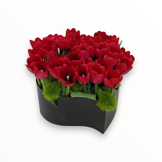 Warm Tulips