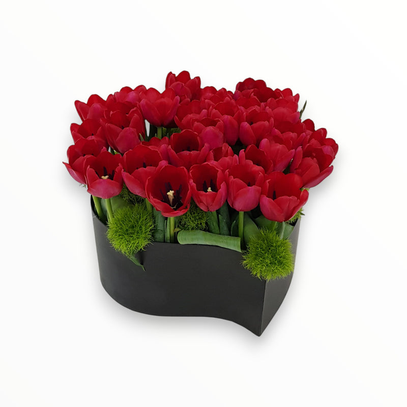 Warm Tulips